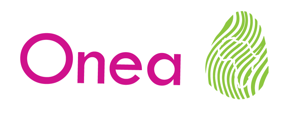 Onea Engineering Onea Africa | Fibre, WiFi, IT Support & Digital Growth